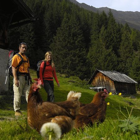 Aparthaus Camping Stubai Apartamento Neustift im Stubaital Exterior foto