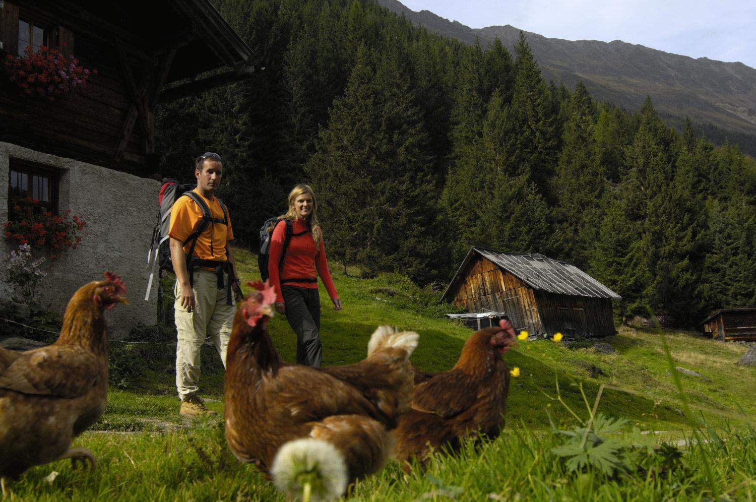 Aparthaus Camping Stubai Apartamento Neustift im Stubaital Exterior foto